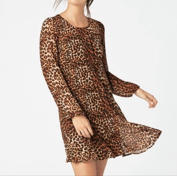 ✨️CL Just Fab Drop Waist Chiffon Dress In Leopard Size L - Picture 1 of 15